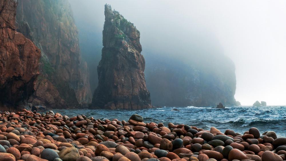 Wallpaper from nature category