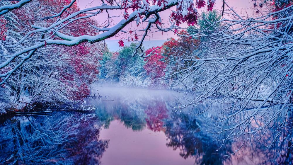 Snowy autumn wallpaper