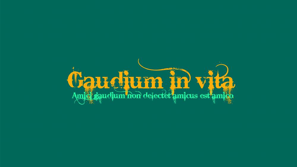 Gaudium in vita wallpaper