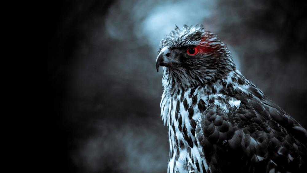 Red eye Eagle wallpaper