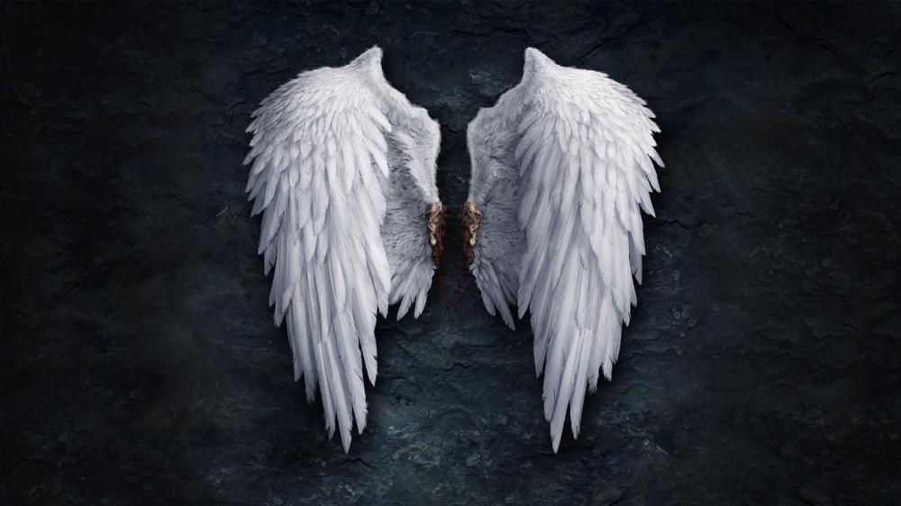 Angel wings  wallpaper