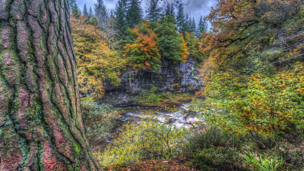 Autumn river wallpaper