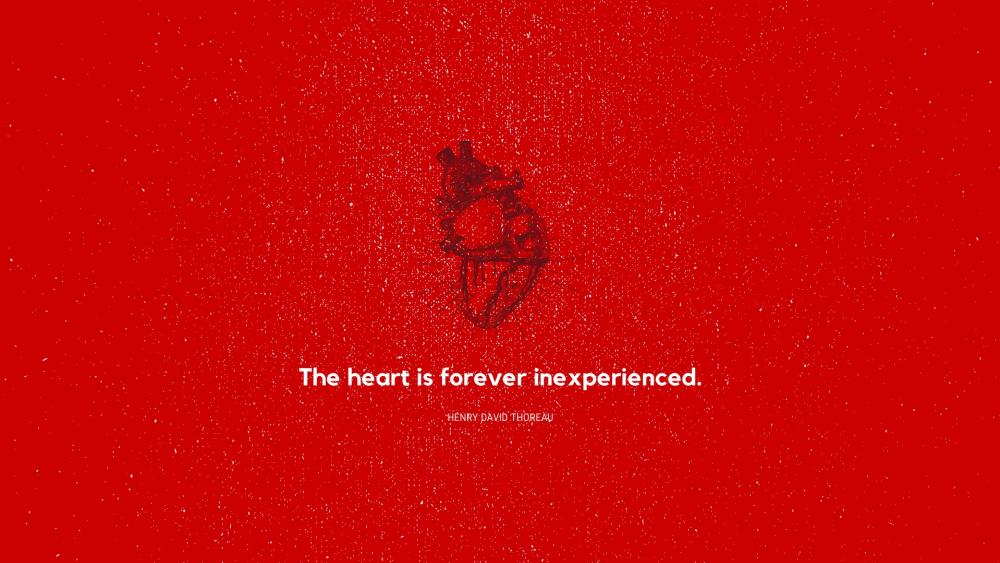 The heart is forever inexperieced. wallpaper