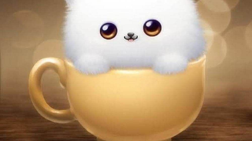 Cat in a mug wallpaper