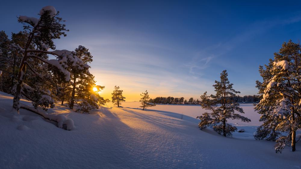 Glimpse of sun wallpaper