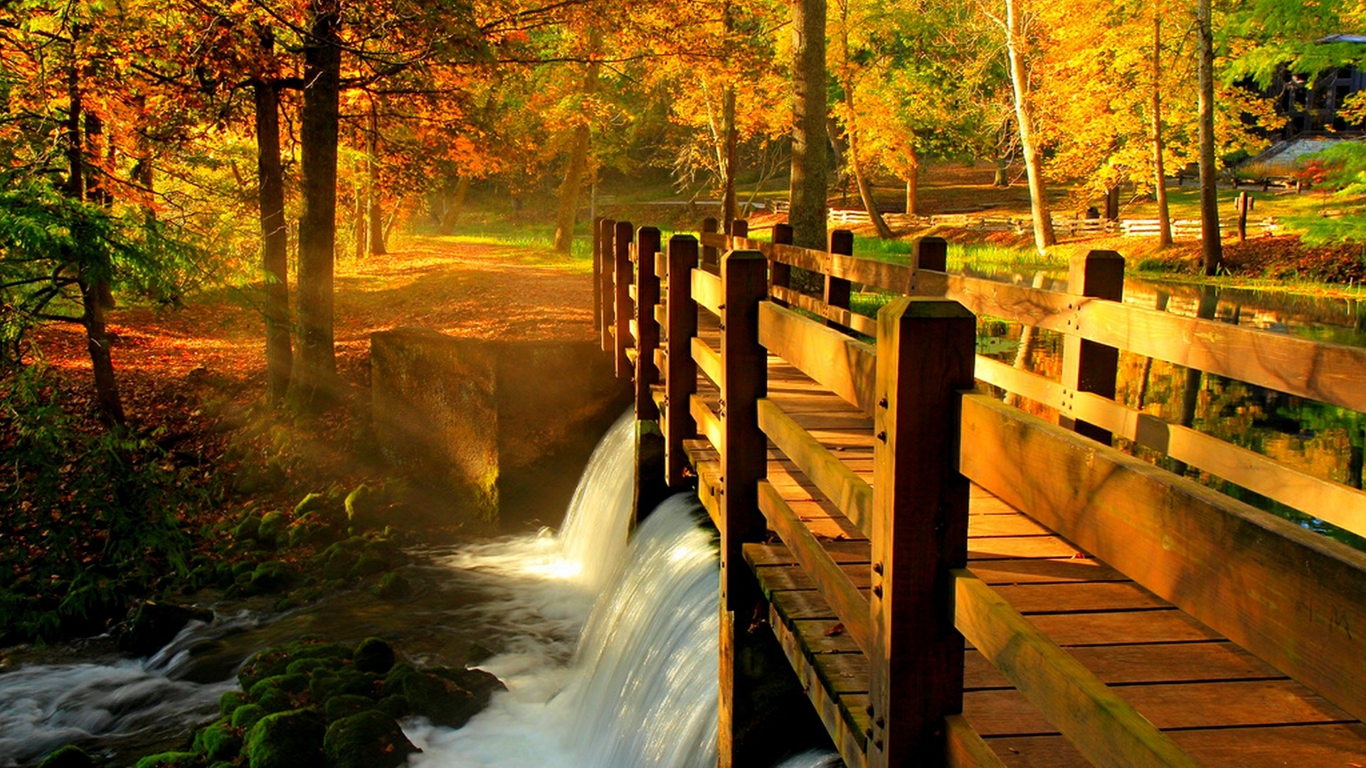 Wood Bridge Over The Stream At Fall Wallpaper Backiee