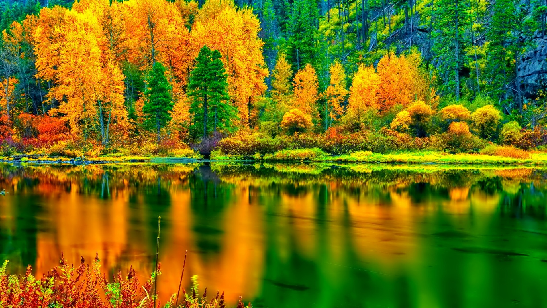 Beautiful autumn landscape - backiee