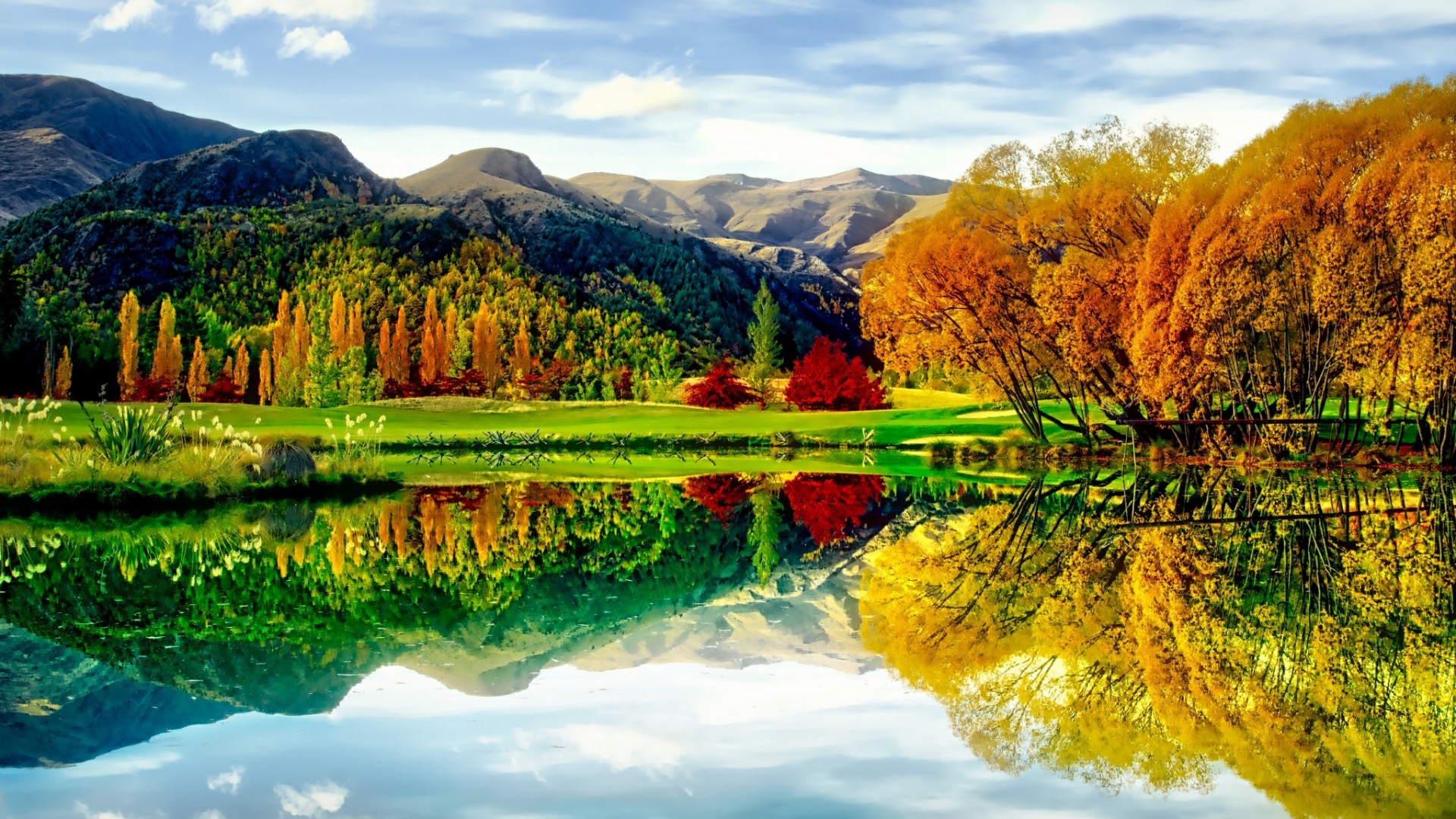 Невероятная осень. Новая Зеландия осень. Вид из листвы на озеро.