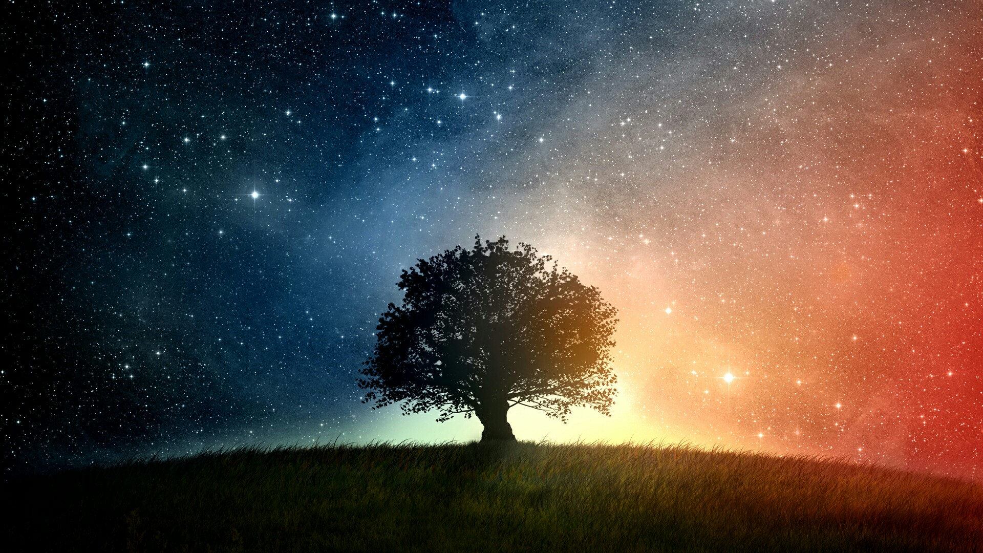 Lone tree under the starry sky wallpaper - backiee