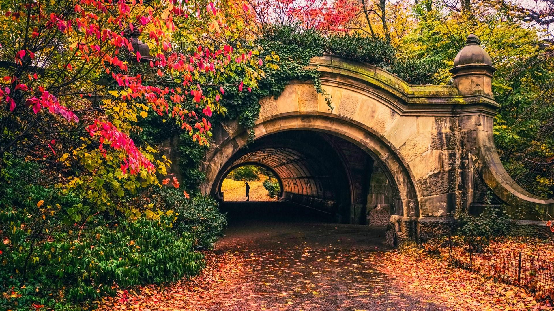 Autumn Prospect Park Passage - Brooklyn - backiee