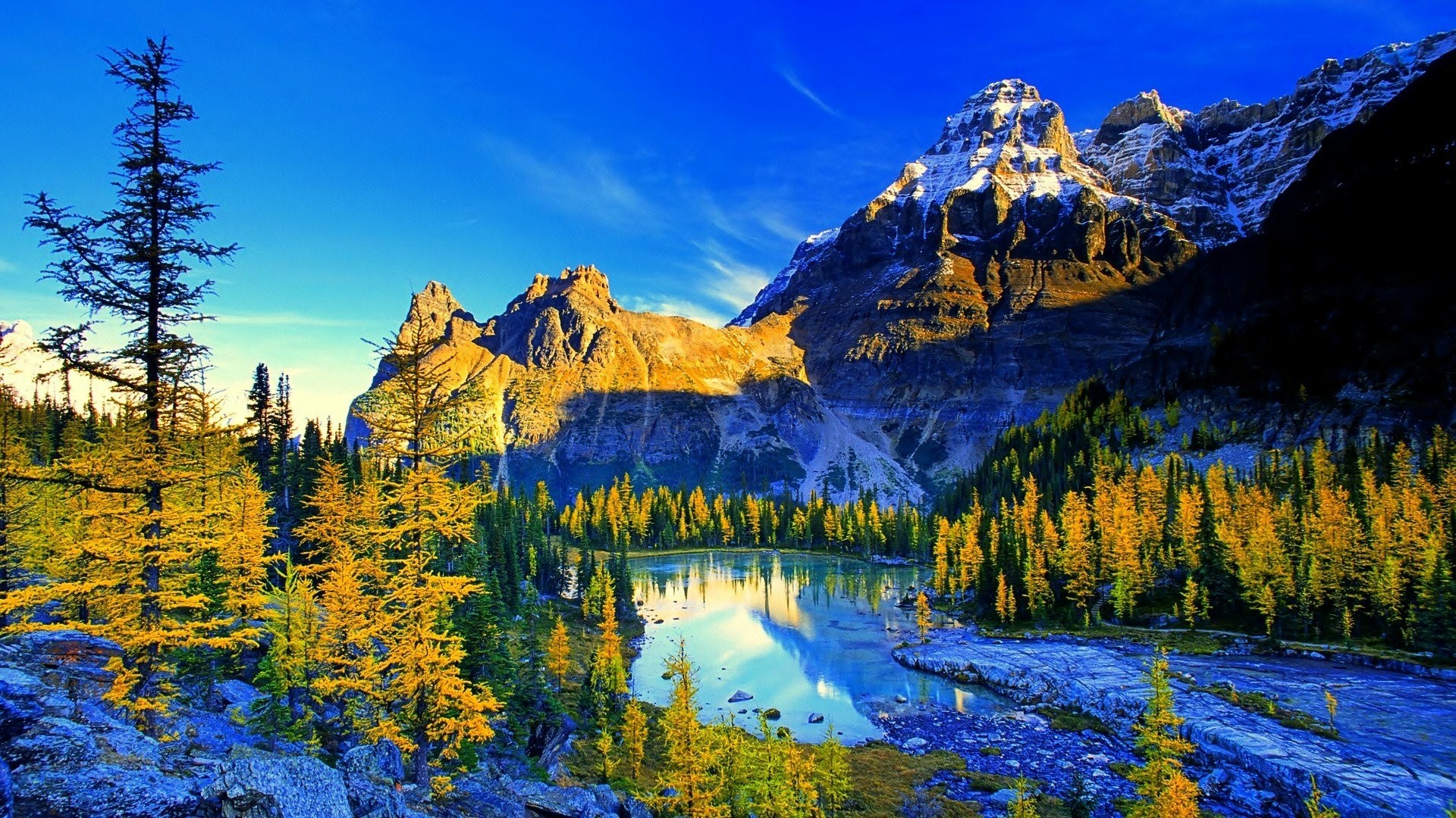 Lake O Hara Yoho National Park Wallpaper Backiee
