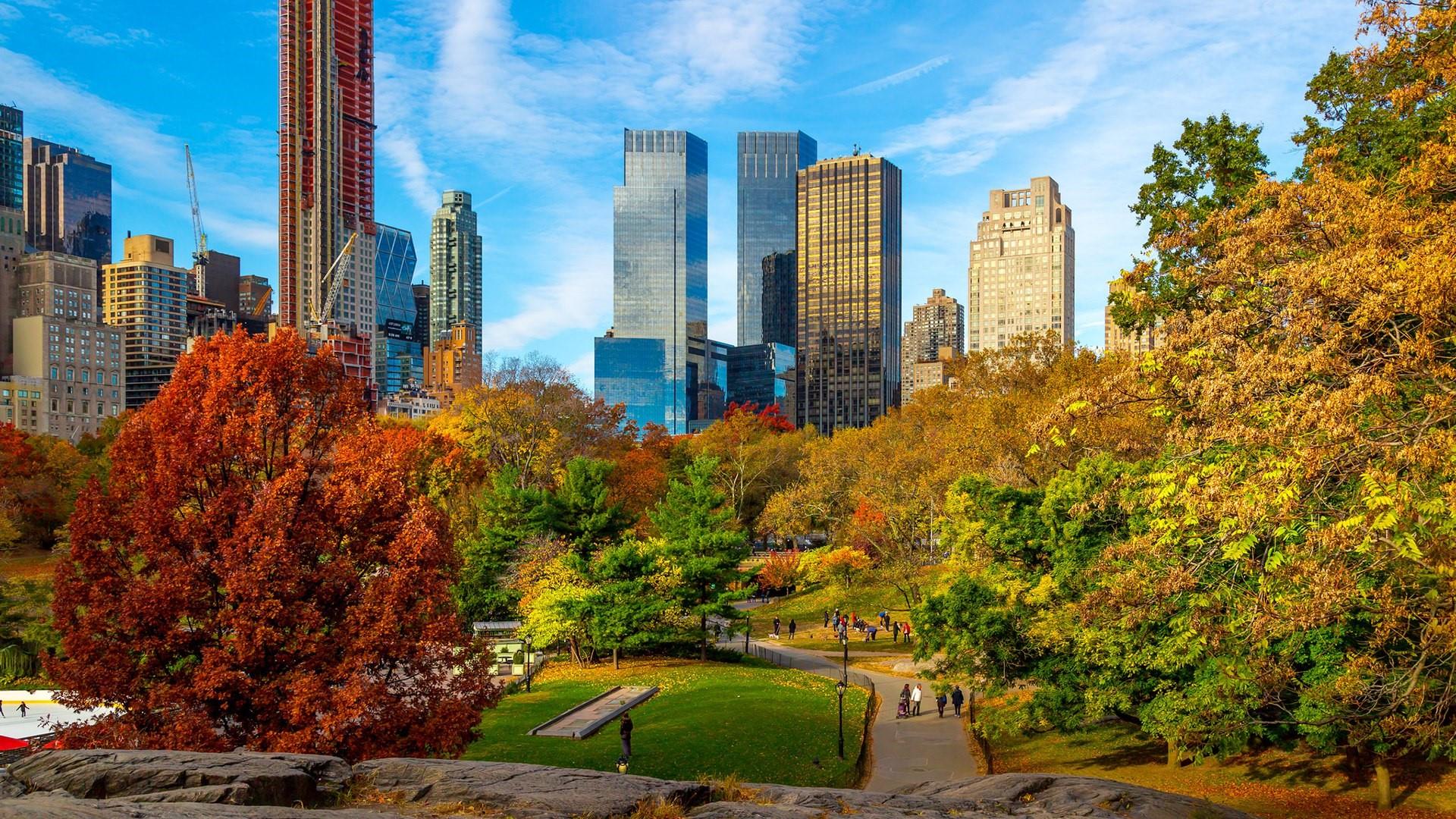 Central Park fall foliage - backiee