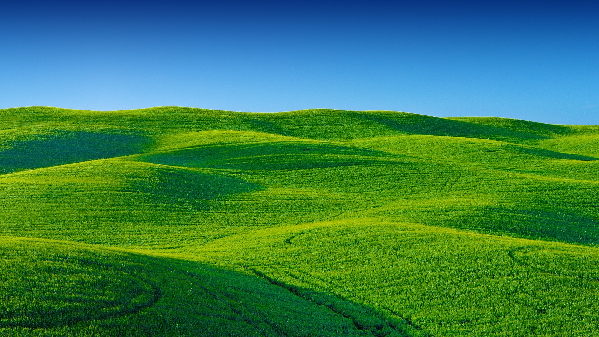Rolling Green Hills And Blue Sky HD Wallpaper - backiee