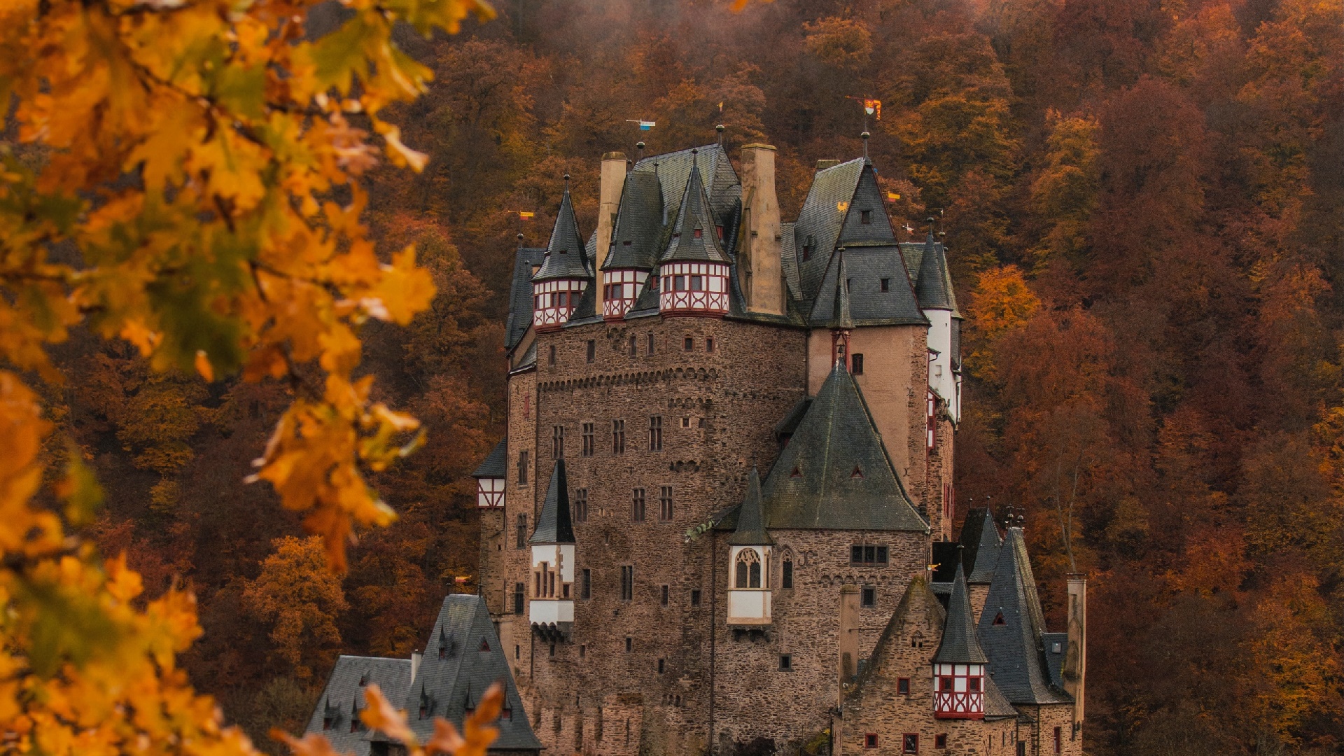 Burg Eltz wallpaper - backiee