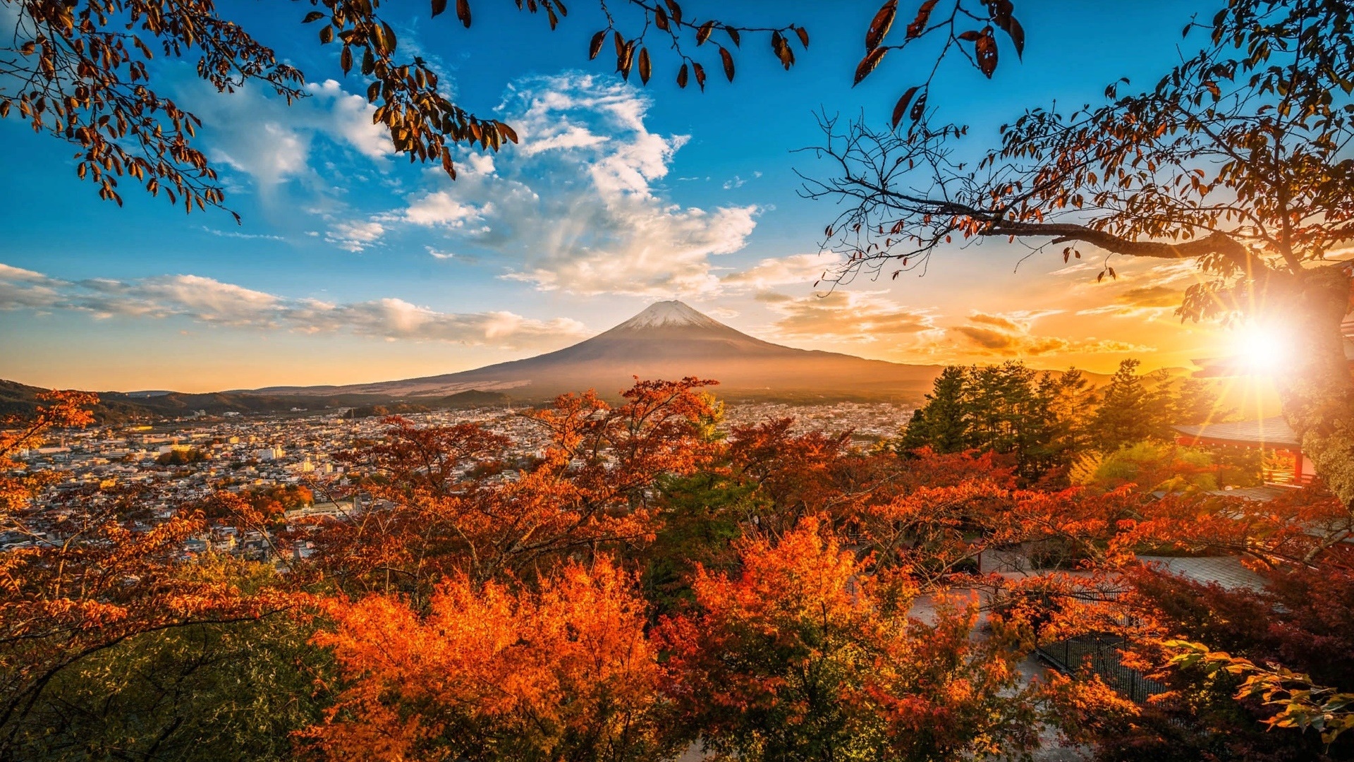 Mount Fuji at fall wallpaper - backiee