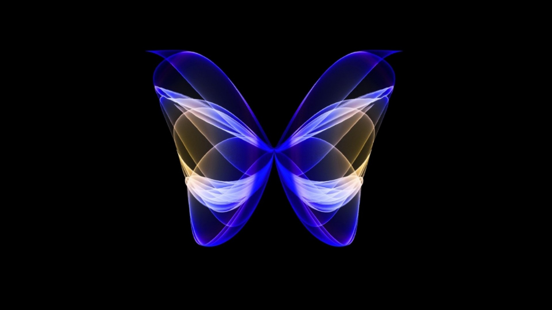 neon butterfly wallpapers neon butterfly wallpapers