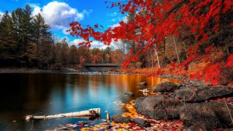 Fantastic autumn nature wallpaper