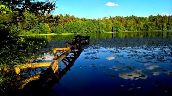 Summer in Lebork (Poland) wallpaper