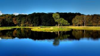 Beautiful reflection wallpaper