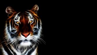 Glowing tiger wallpaper