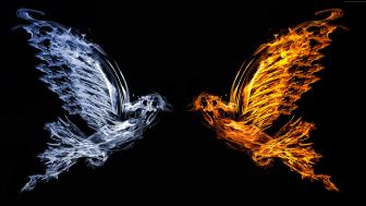 Ice and fire birds wallpaper