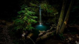 Big Basin Redwoods State Park wallpaper
