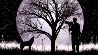 Wolf and moon photographer wallpaper