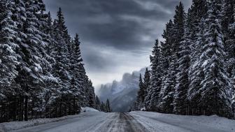 Wallpaper from nature category