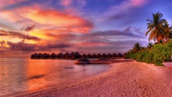 Wallpaper from nature category