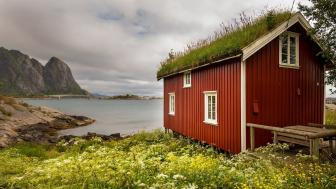Hamnoy turf house wallpaper