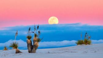 Wallpaper from nature category