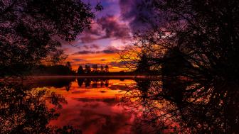 Wallpaper from nature category