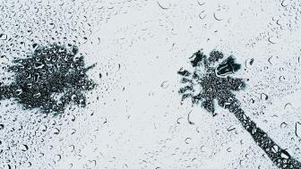 Wallpaper from abstract category