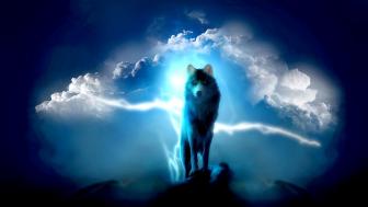 Lone wolf wallpaper