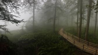 Artvin wallpaper