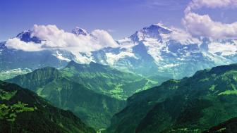 Wallpaper from nature category