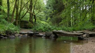 Granite bridge in Huelgoat Forest in Brittany (France) wallpaper