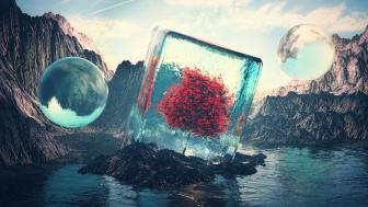 Lone tree in a cube wallpaper