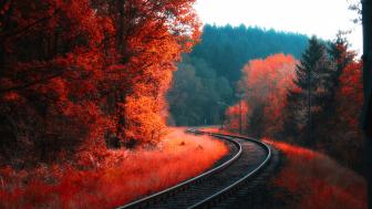 Curvy railway wallpaper