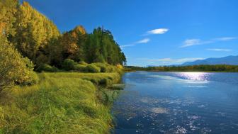 Wallpaper from nature category
