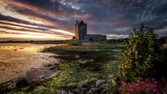 Dunguaire Castle wallpaper