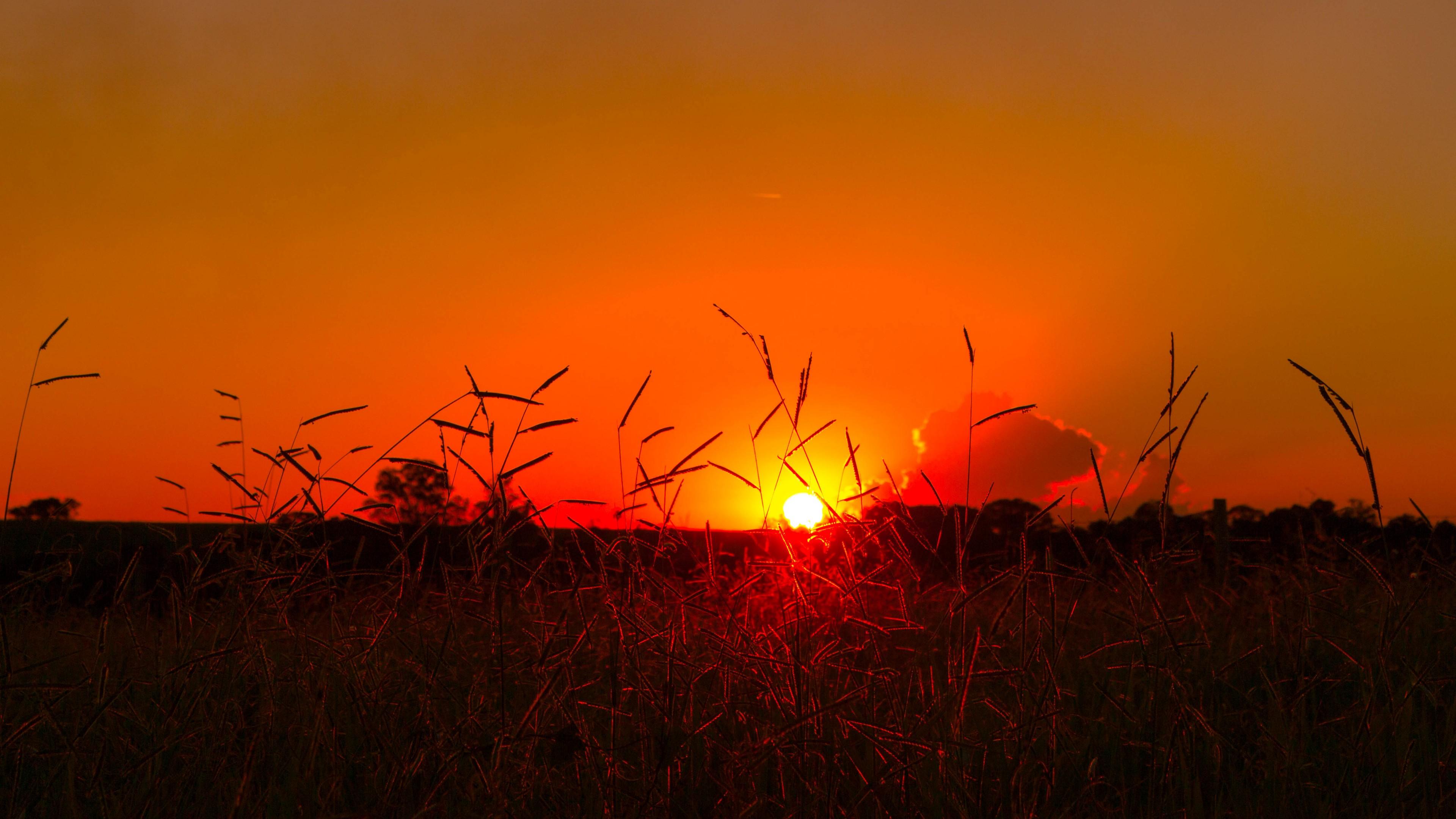 Brazilian sunset - backiee