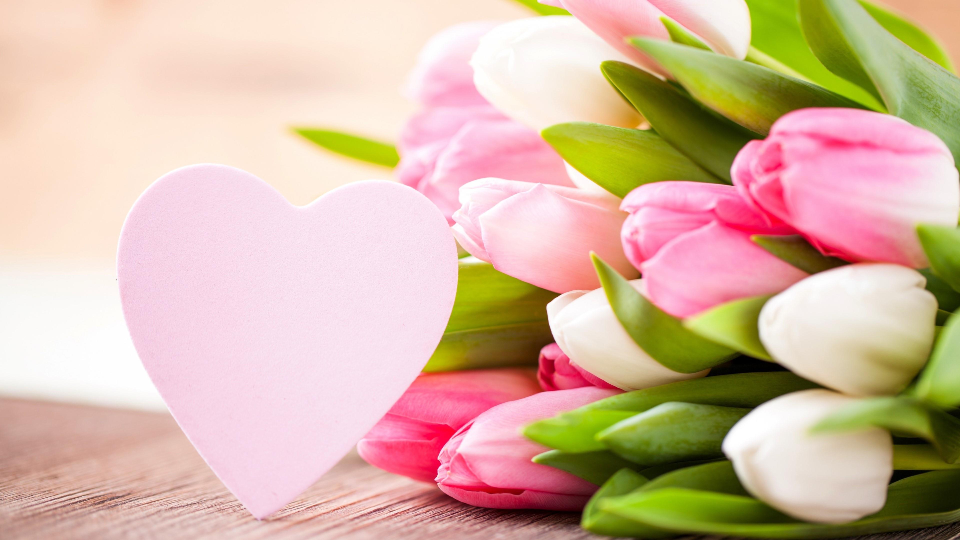 Pink tulip bouquet wallpaper - backiee