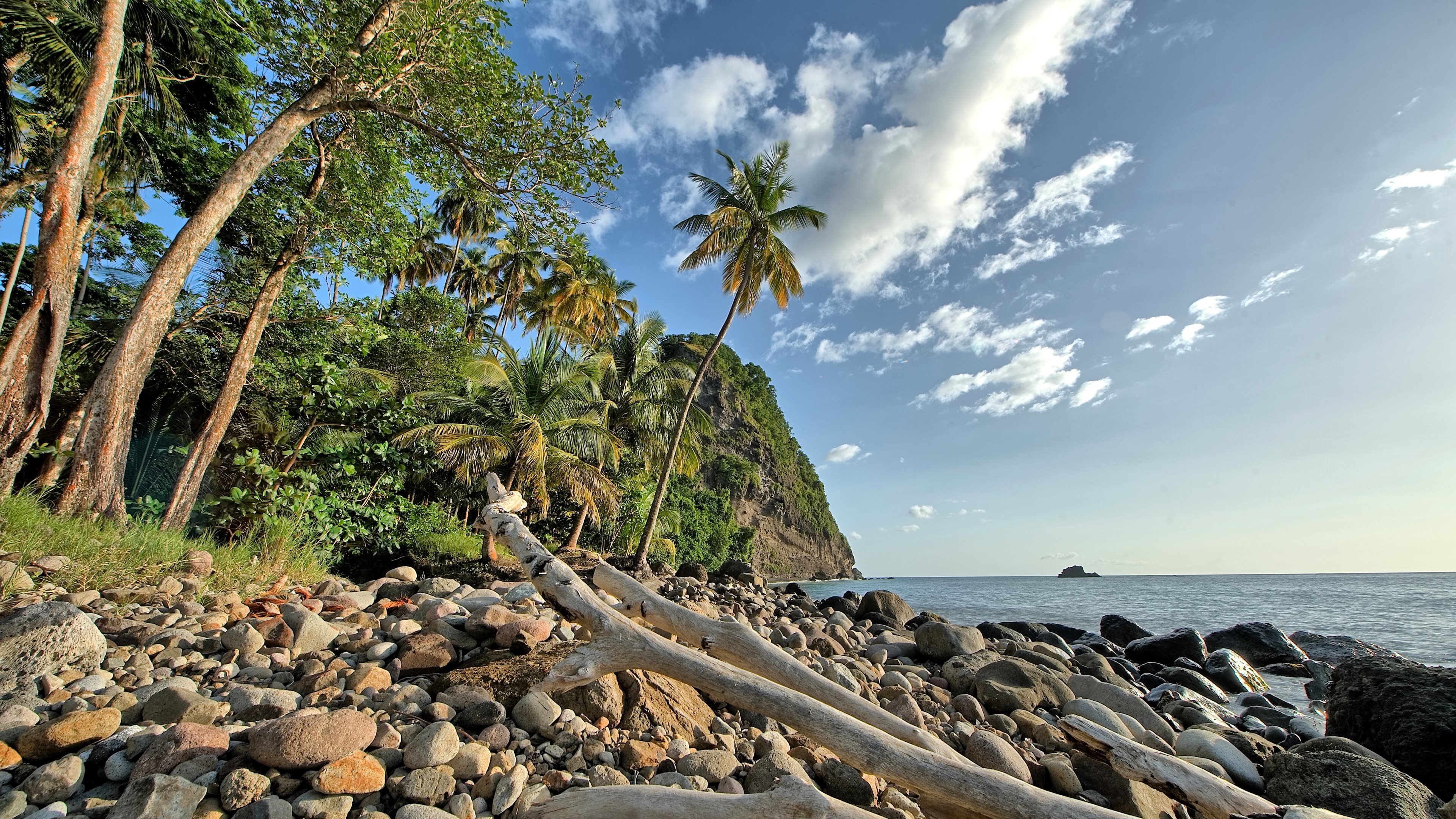 Martinique wallpaper - backiee