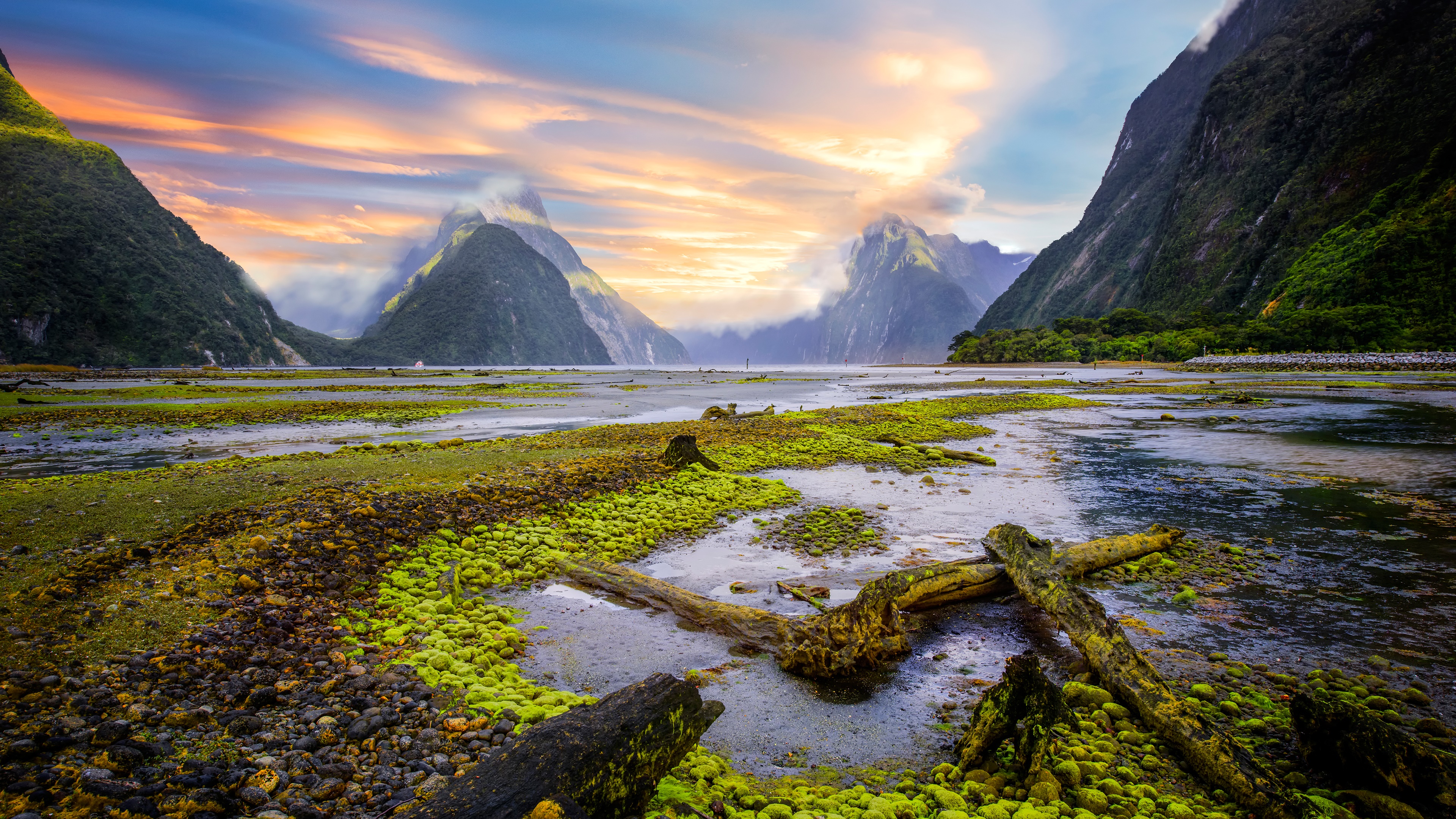 New Zealand Wallpapers And Backgrounds 4k Hd Dual Screen - Vrogue