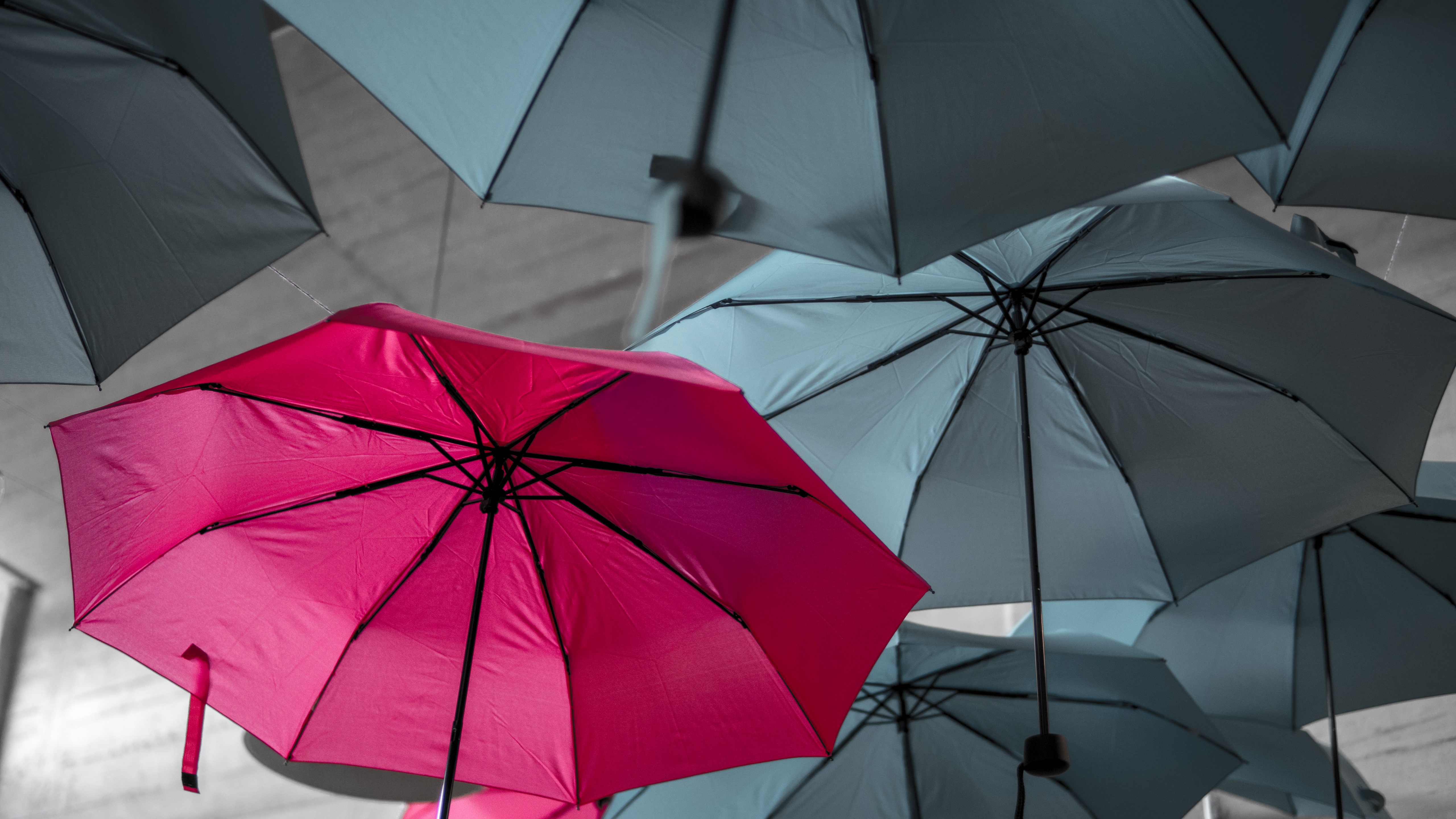 Фиолетовый красивый зонт. Русский зонтик на русском языке