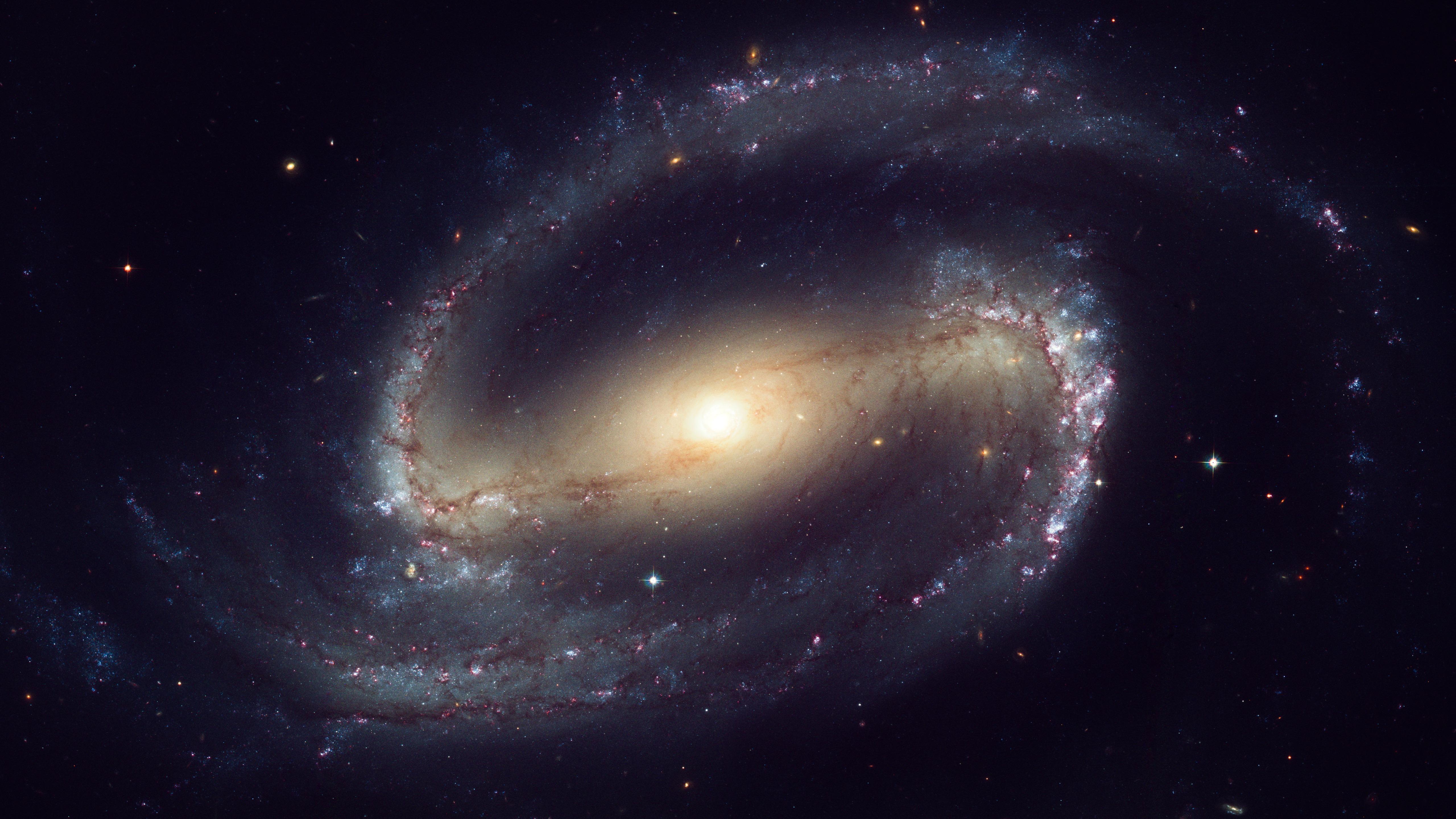 HST Image Of NGC 1300 Wallpaper - Backiee