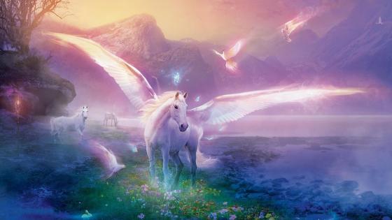 Pegasus Cool Widescreen Wallpapers 112555 - Baltana