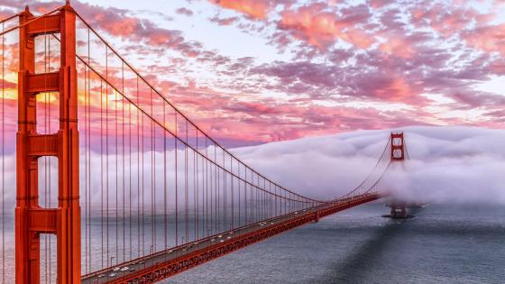 San Francisco wallpapers - backiee