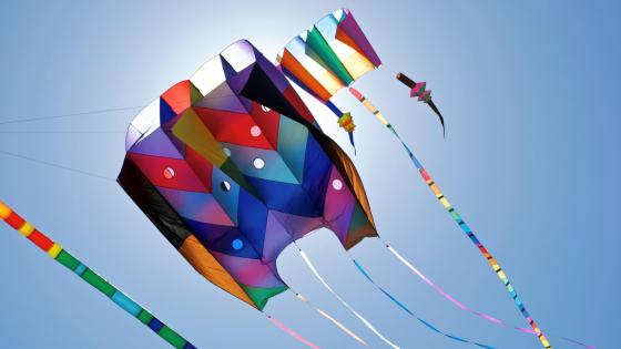 Kites - Day by Zaib Ali on Dribbble